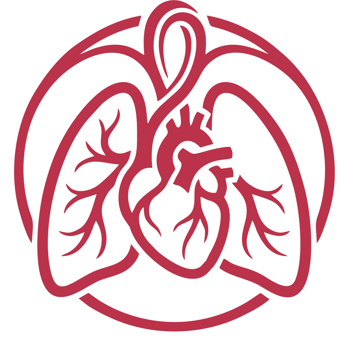 Dr zryan logo